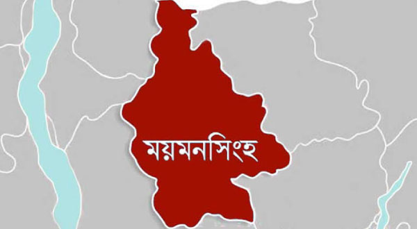 ময়মনসিংহে বিএনপির মিছিল থেকে একজন গ্রেফতার