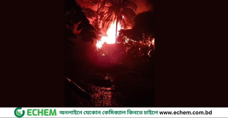নোয়াখালীতে আগুনে ৯ দোকান পুড়ে ছাই