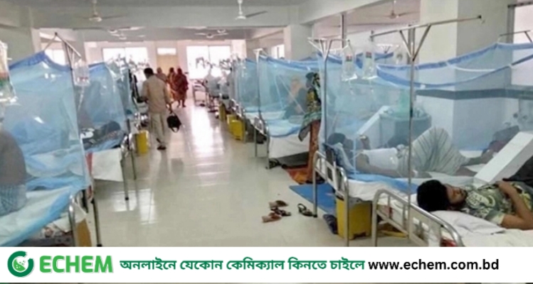 ডেঙ্গুতে ৫ মৃত্যু, হাসপাতালে ভর্তি ১১৯৭ জন