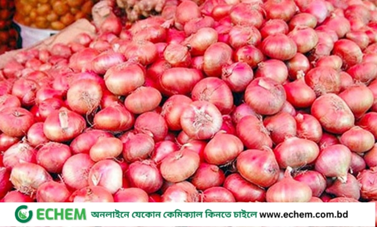 পেঁয়াজ ইস্যুতে নজরদারি বাড়ানোর নির্দেশ প্রধানমন্ত্রীর