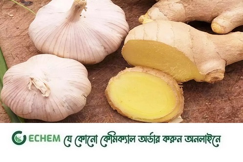 ছুটছে আদা-রসুন, আমদানি ব্যাহত হলে আরো চড়া হতে পারে