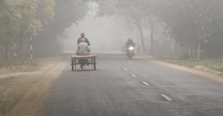দেশের সর্বনিম্ন তাপমাত্রায় কাঁপছে চুয়াডাঙ্গা