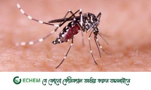 ডিসেম্বরের ১৭ দিনে ডেঙ্গুতে মারা গেছেন ৬০ জন