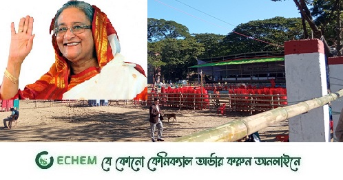 শেখ হাসিনা বুধবার সিলেট থেকে প্রচারণা শুরু করবেন