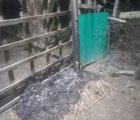 নোয়াখালীতে স্বতন্ত্র প্রার্থীর প্রধান সমন্বয়কের বাড়িতে ককটেল ফাটিয়ে অগ্নিসংযোগের অভিযোগ