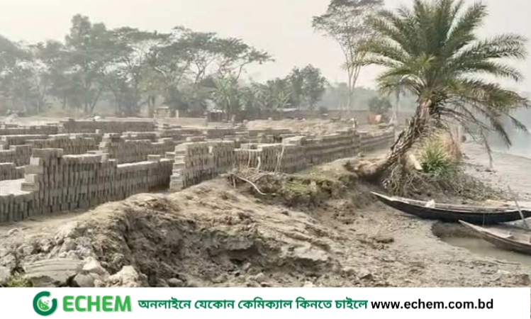 ইটভাটায় হুমকির মুখে আবাদি জমি