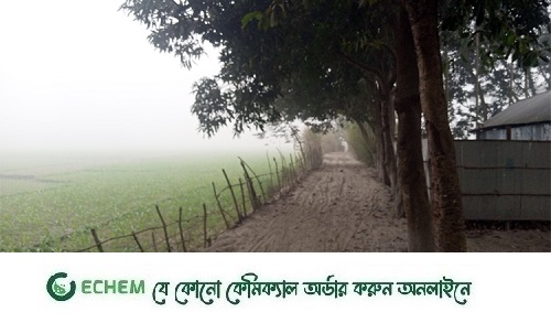 চলতি বছরে সর্বনিম্ন তাপমাত্রা রেকর্ড গাইবান্ধায়