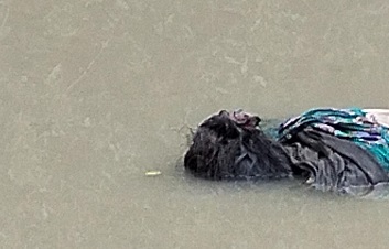 নোয়াখালীতে গৃহবধুকে হত্যা, পা বাঁধা লাশ উদ্ধার