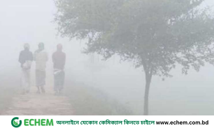 মাঘের শীতে কাঁপছে দেশ, সর্বনিম্ন তাপমাত্রা চুয়াডাঙ্গায়