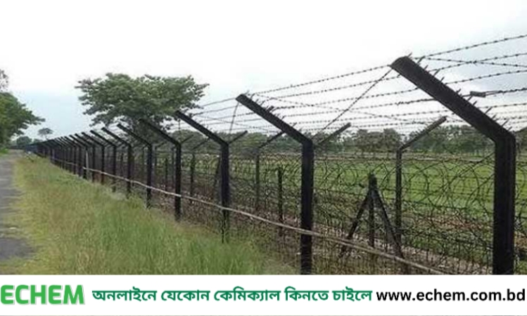 সীমান্তে বিএসএফের গুলিতে বিজিবি সদস্য নিহত