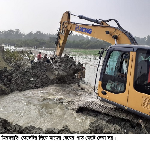 সাগরে বিলীন হলো কয়েক কোটি টাকার মাছ