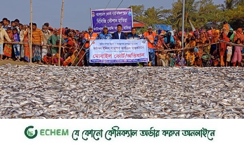 মেঘনা নদী থেকে ৪২০ মন জাটকা জব্দ, আটক ১৬