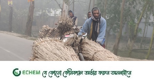 শীত আরও কমার আভাস, অব্যাহত থাকতে পারে বৃষ্টি