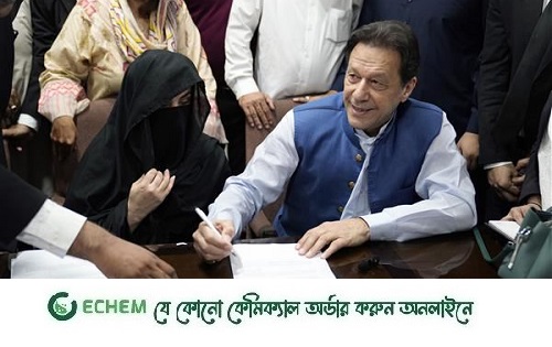 ইমরান ও বুশরাকে ৭ বছরের জেল, ‘অনৈসলামিক নিকাহ’ মামলায়