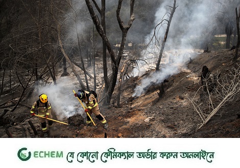 চিলিতে দাবানলে নিহত বেড়ে ১১২, জরুরি অবস্থা ঘোষণা