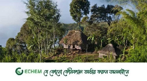 পাপুয়া নিউ গিনিতে এলোপাতাড়ি গুলি: নিহত ৬৪