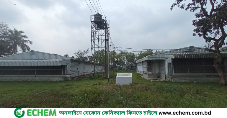 ১ বছর ধরে বন্ধ দুই কোটি টাকা ব্যয়ে নির্মিত পোলট্রি শেড