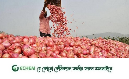 ভারত পেঁয়াজ  রপ্তানির অনুমতি দিলো