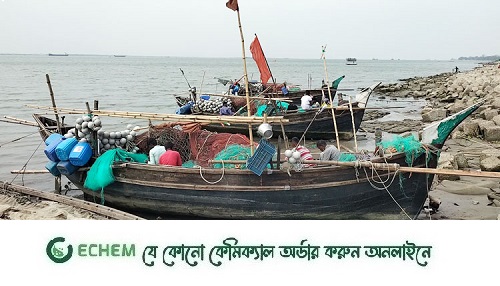 আজ মধ্যরাত থেকে শুরু হচ্ছে মাছ ধরায় নিষেধাজ্ঞা