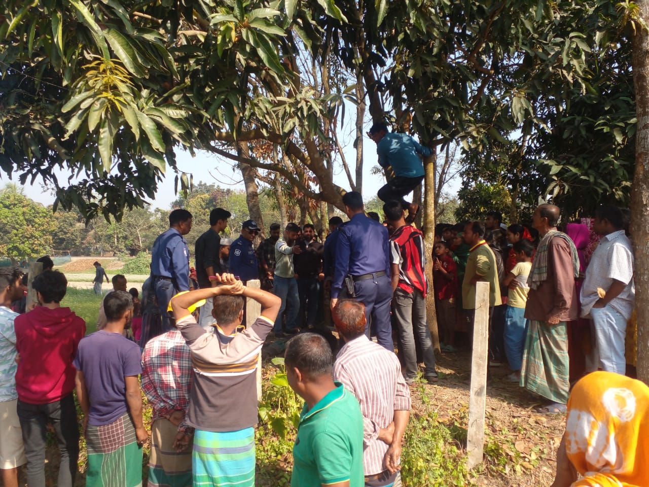 ফরিদপুরে  ঝুলন্ত মৃতদেহ উদ্ধার