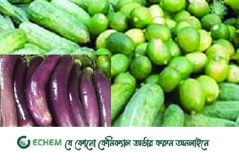 অস্থির লেবুর বাজার, চড়া শসা-বেগুন