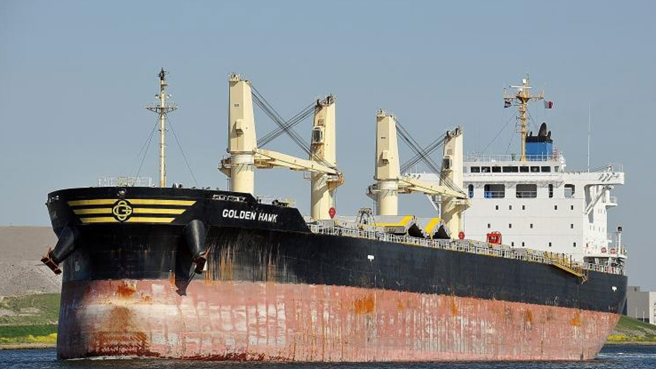 নাবিকের বার্তা, ‘ওরা আমাদের মাথায় অস্ত্র ঠেকিয়ে রাখছে'