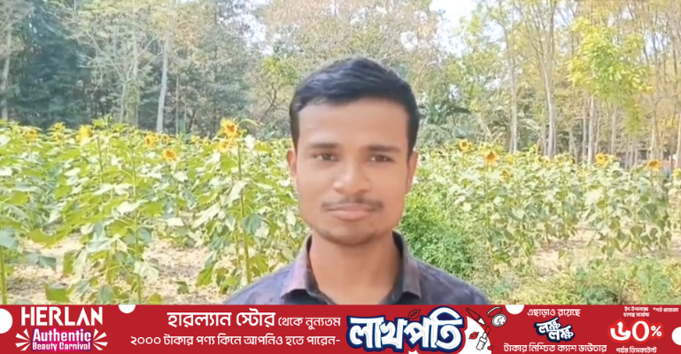 ফরিদপুরে কলেজছাত্র অপূর্বের সূর্যমুখী চাষে সফলতা