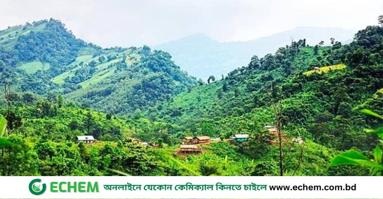 যৌথ বাহিনীর সঙ্গে গোলাগুলি, কুকি-চিনের সদস্য নিহত