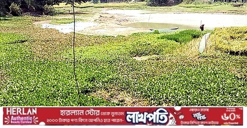 ফরিদপুরের চরভদ্রাসনে মাটি কাটার দায়ে যুবককে জরিমানা