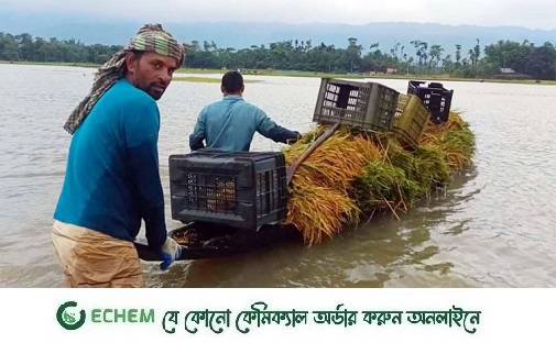 সিলেটের নদনদীর বাড়ছে পানি, উজানের ঢলে
