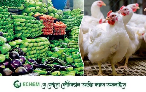 গরমে সবজি নষ্ট হওয়ায় বাড়ছে দাম, কমেছে ব্রয়লার-ডিমের দাম