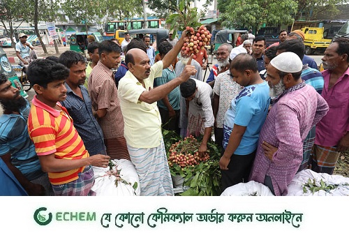 নরসিংদী ৬টি উপজেলার হাটে লিচু বিক্রি হচ্ছে চড়া দামে