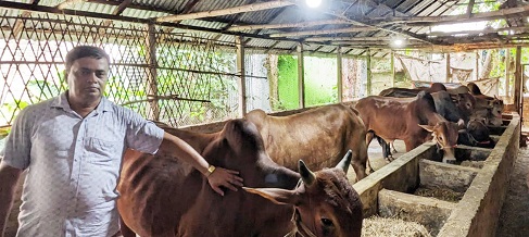 গরু পালন করে স্বাবলম্বী হোমিও চিকিৎসক বেলাল হোসেন