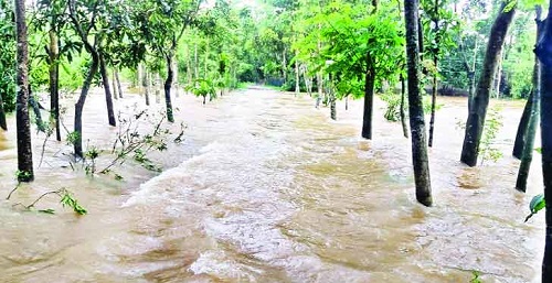সিলেটে তিন নদীর পানি বিপৎসীমার ওপরে
