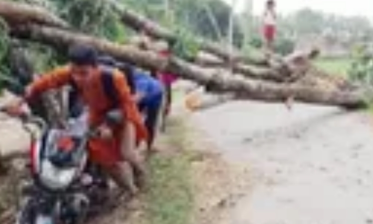 ঠাকুরগাঁওয়ে ১৫ মিনিটের ঝড়ে লন্ডভন্ড ২০ গ্রাম, মৃত্যু ৩