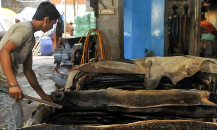 ঢাকায় প্রতি বর্গফুট ৬০ টাকা, বাইরে ৫৫