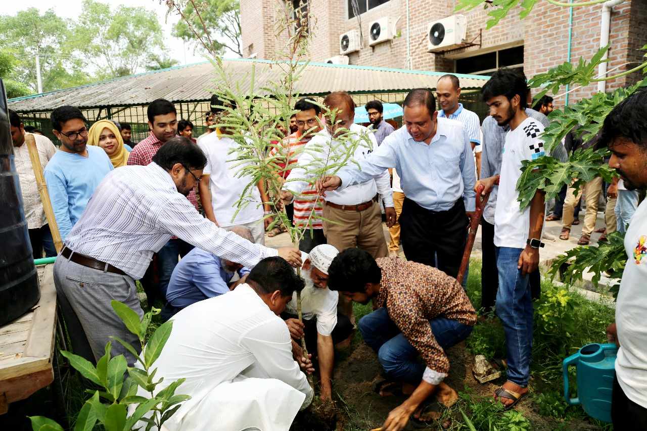 মাভাবিপ্রবিতে বিশ্ব‌ পরিবেশ দিবস‌ ২০২৪ পালিত