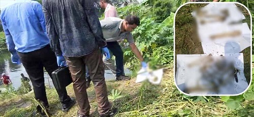 কলকাতার বাগজোলা খাল থেকে আনারের হাড় উদ্ধার