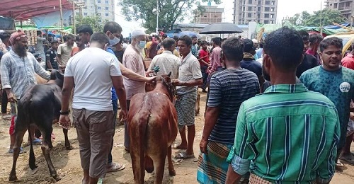 শেষ দিনেও চলছে চড়া দামে গরু কেনা-বেচা, ক্রেতাদের ঢল