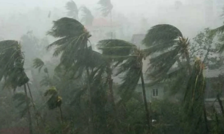 ৫ বিভাগে হতে পারে ঝোড়ো হাওয়াসহ বৃষ্টি