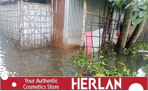 সুনামগঞ্জে আশ্রয়কেন্দ্র থেকে ফিরতে শুরু করেছেন বানভাসিরা