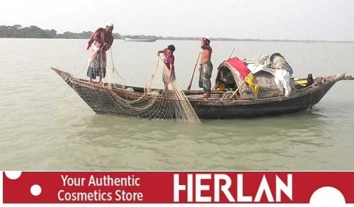 কাঙ্ক্ষিত ইলিশ না পেয়ে চরম হতাশা নিয়ে ফিরছেন জেলেরা