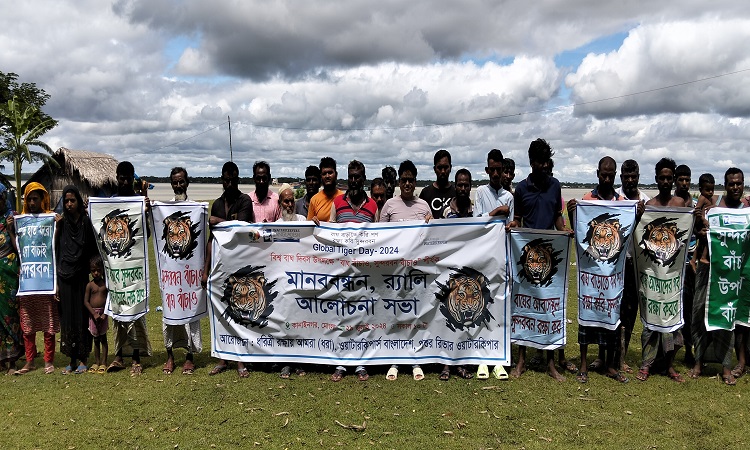 সুন্দরবনে প্রধান অলংকার বাঘ রক্ষা করা একটি চ্যালেঞ্জ