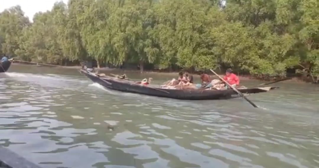 তিন মাস পর দুয়ার খুলছে সুন্দরবনের, চলছে নির্ভরশীলদের প্রস্তুতি