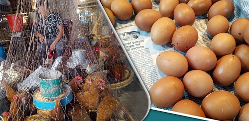 ডিম-মুরগির দাম বেঁধে দেয়ার পরও বেড়েছে