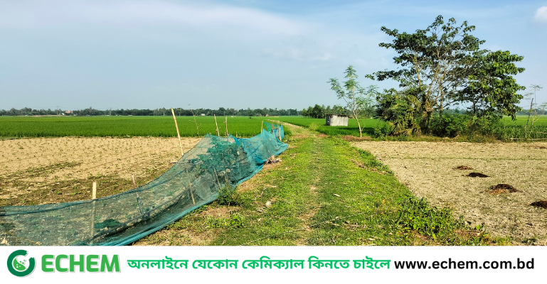 ভুয়া প্রকল্প দেখিয়ে ইজিপিপির অর্থ হরিলুট, শ্রমিকের তালিকায় গ্রাম পুলিশ ও সচ্ছলরা