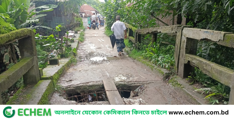 ফরিদপুরে ঝুঁকি নিয়ে চলছে ১০ গ্রামের মানুষ