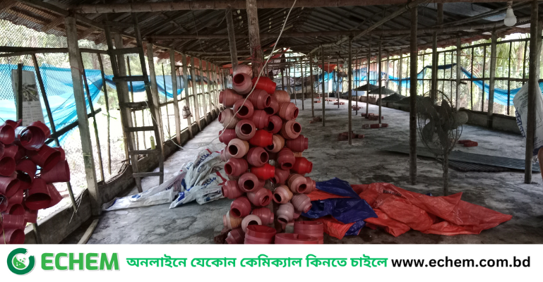 লক্ষ্মীপুরে বন্যায় প্রাণী সম্পদ ক্ষতি ৮ কোটি ৬৫ লাখ