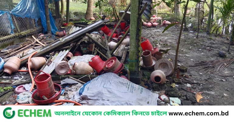 লক্ষ্মীপুরে বন্যায় প্রাণী সম্পদ ক্ষতি প্রায় ৮ কোটি ৬৫ লাখ