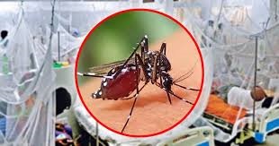 ডেঙ্গুতে আক্রান্ত ও মৃত্যু বাড়ছে, শীর্ষে চট্টগ্রাম